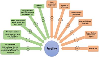 Nutritional and exercise interventions to improve conception in women suffering from obesity and distinct nosological entities